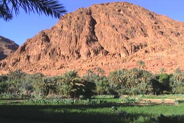 casbah palmeraie